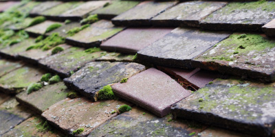 Hughley roof repair costs